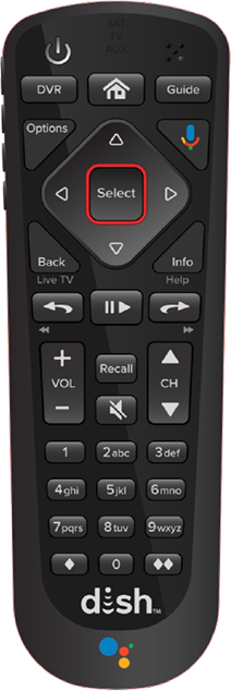 54 Series Dish Remote